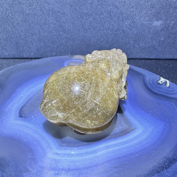 金鈦晶龍龜 EM02