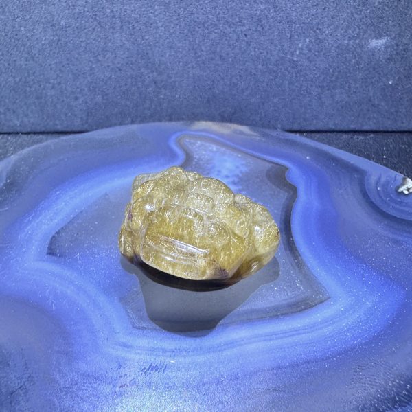 金鈦晶金蟬 EN04